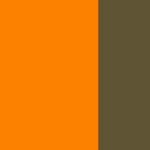Orange et Vert Mousse
